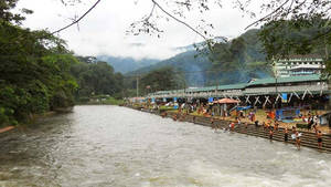 pamba pamba