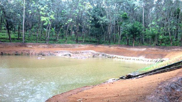 alavakonam-chira alavakonam-chira