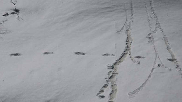 yeti-footprints yeti-footprints