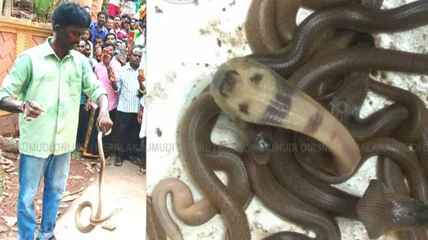 vava-suresh