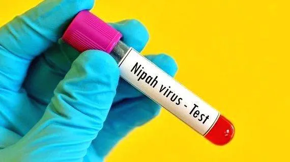 nipah