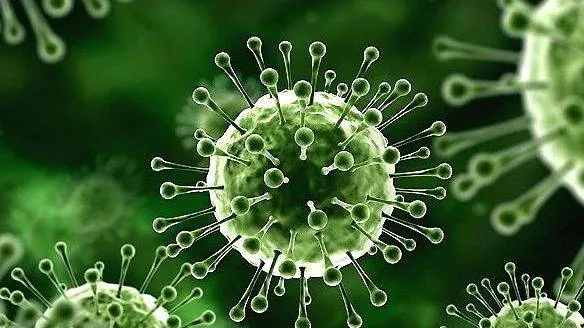 nipah
