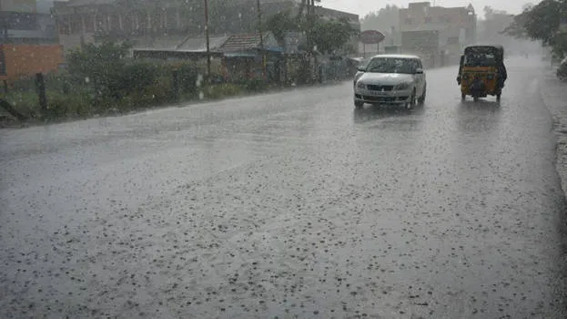 rain