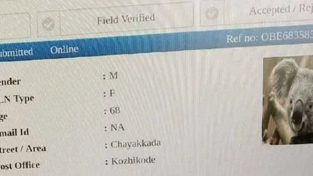 fake-application