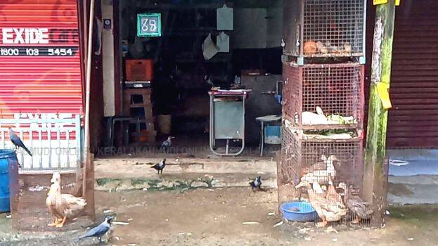 local-news-thrissur local-news-thrissur