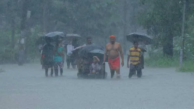 heavy-rain