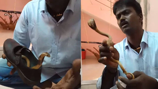 vava-suresh