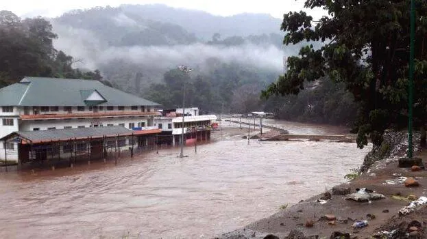 pamba