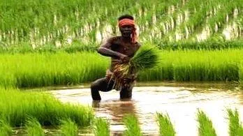agriculture-loan