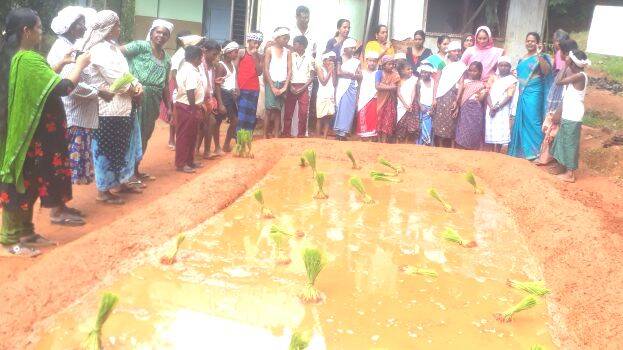 kalloorkkad kalloorkkad