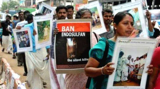 endosulfan-issue