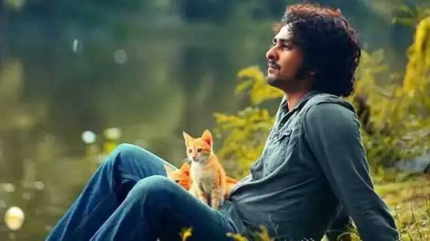 shane-nigam