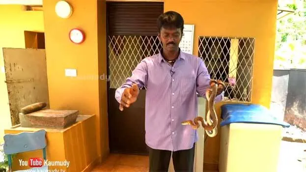 snake-master