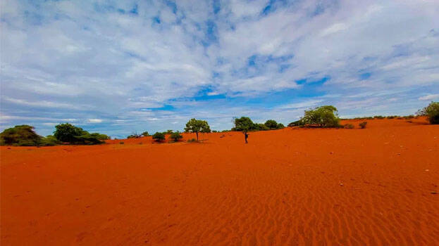 -red-desert -red-desert