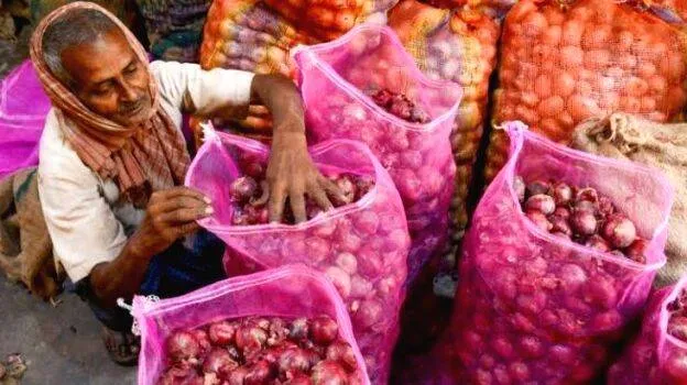 onion-