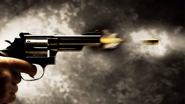 gun