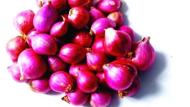 small-onion