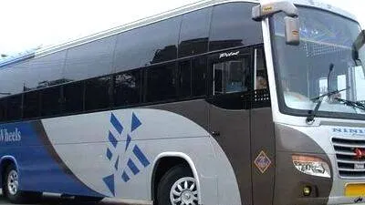 bus