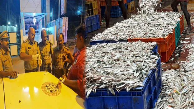 fish