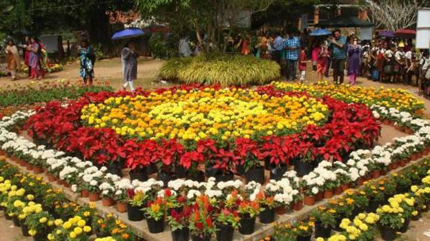 kanakaknnju kanakaknnju