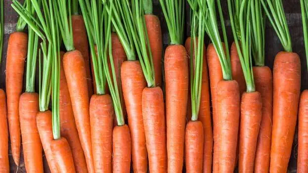 carrots
