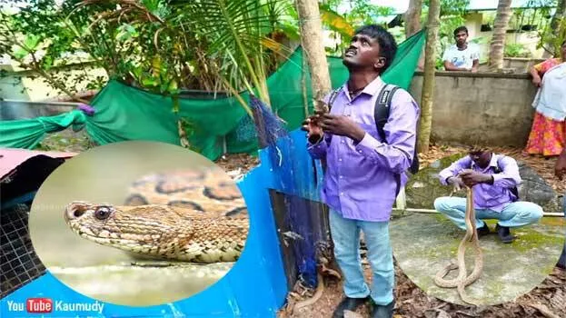 snake-master