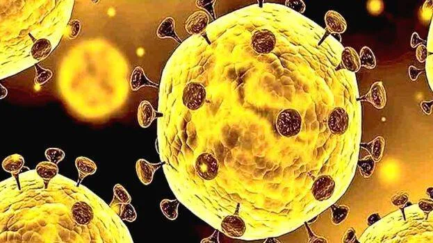 corona-virus