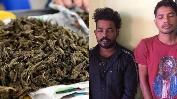 kanja