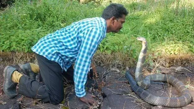 vava-suresh