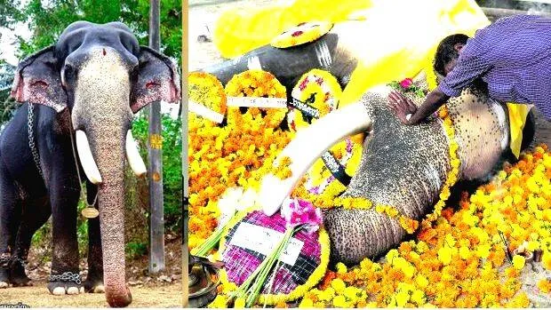 guruvayur-padmanabahan