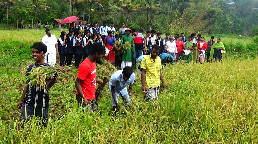 kaoitholsavam kaoitholsavam