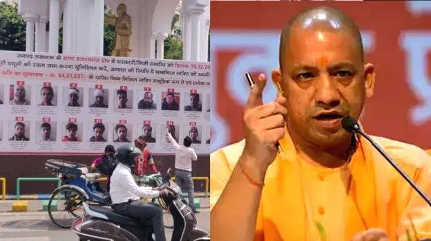 yogi-