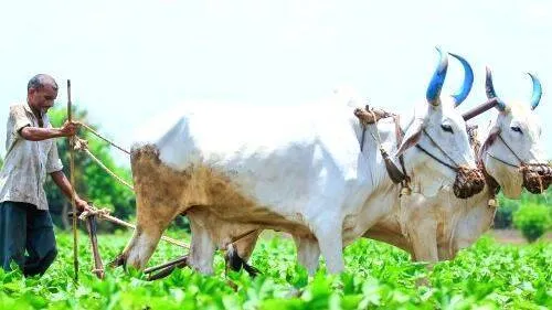 pm-kisan