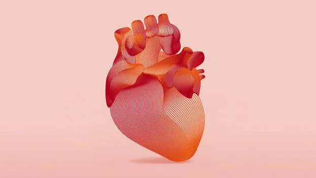 heart