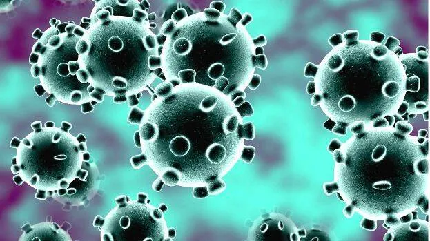 corona-virus-