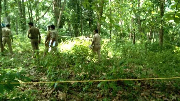 kundamon