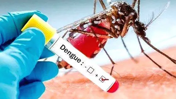 dengue
