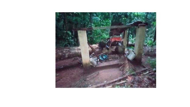 kokkathodu-maram kokkathodu-maram