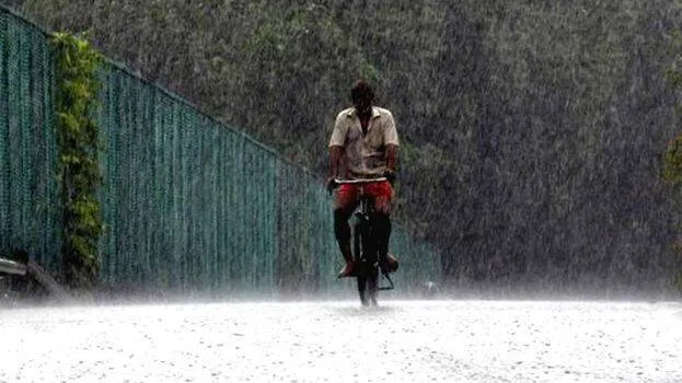 rain