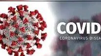 covid