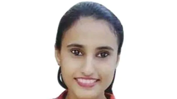 veena
