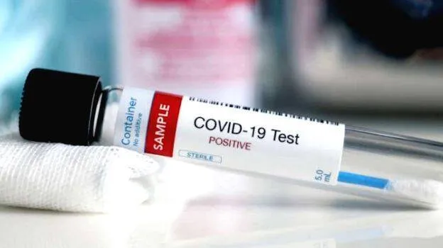covid-