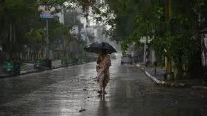 rain