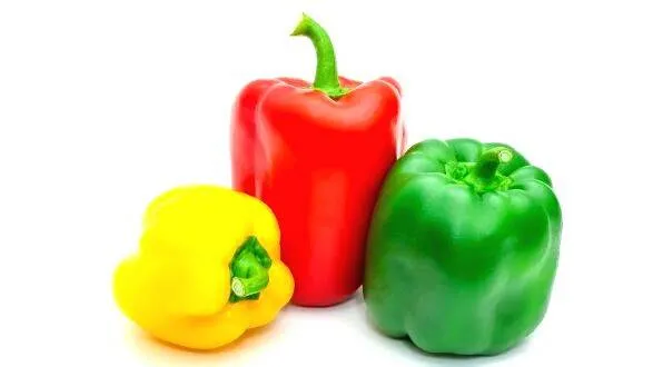 capsicum