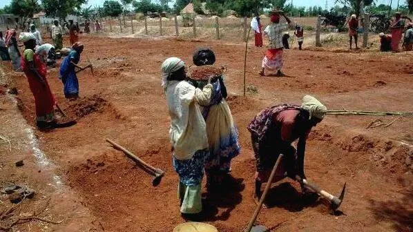 kooli