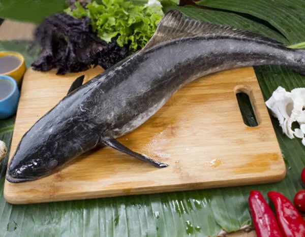 fish
