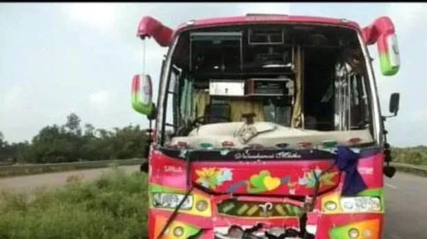 bus-