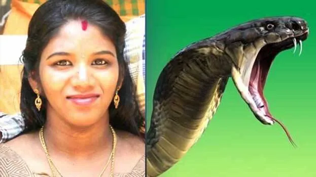 snake