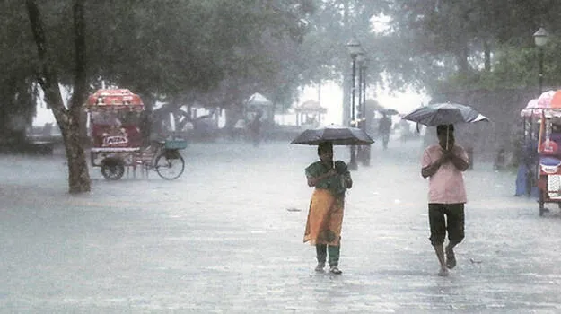rain