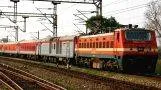 special-train